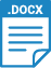 PDF Icon